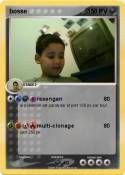 bosse