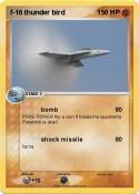 f-16 thunder
