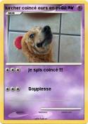 lurcher coincé