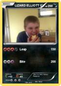 LIZARD ELLIOTT