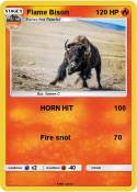 Flame Bison