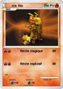 cra feu