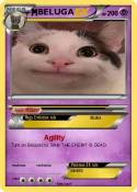 BELUGA