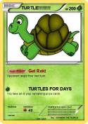 TURTLE!!!!!!!!!