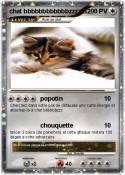 chat