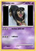 rottweiler mix