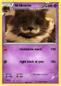 Mr.Mustche