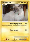 Thunder cat