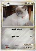 kitty