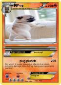 Pug
