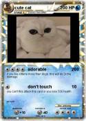 cute cat