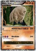 Water Bear