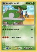 Torterra (P)