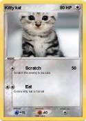 Kitty kat