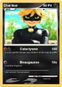 Chat Noir