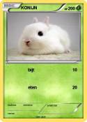 KONIJN