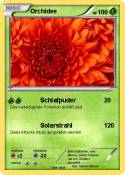 Orchidee