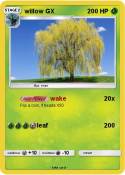 willow GX