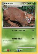 caracal