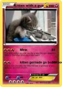 Kitten with a