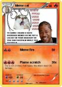 Meme cat