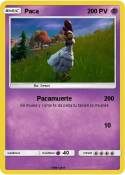 Paca