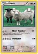 Sheep
