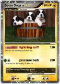 Boom Dogs
