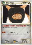 Chat Ninja