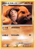 chien et chat