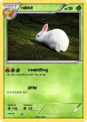 rabbit
