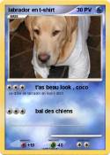 labrador en