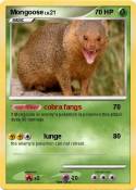 Mongoose