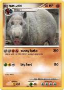 pig sus