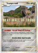 Trumps wall