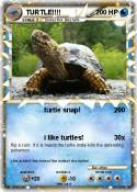 TURTLE!!!!