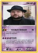 Notch