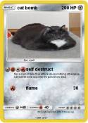 cat bomb