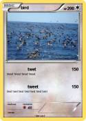 bird