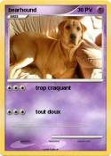 bearhound