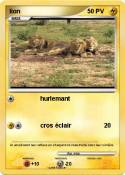 lion