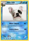 Water Dash