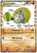 Lysosome