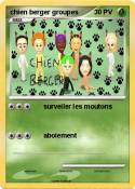 chien berger