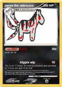 james the zebra