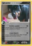 sp2 archer