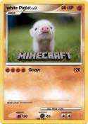 white Piglet