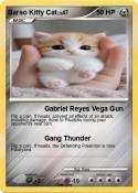 Barso Kitty Cat