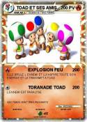 TOAD ET SES