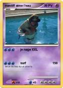 mastiff aime
